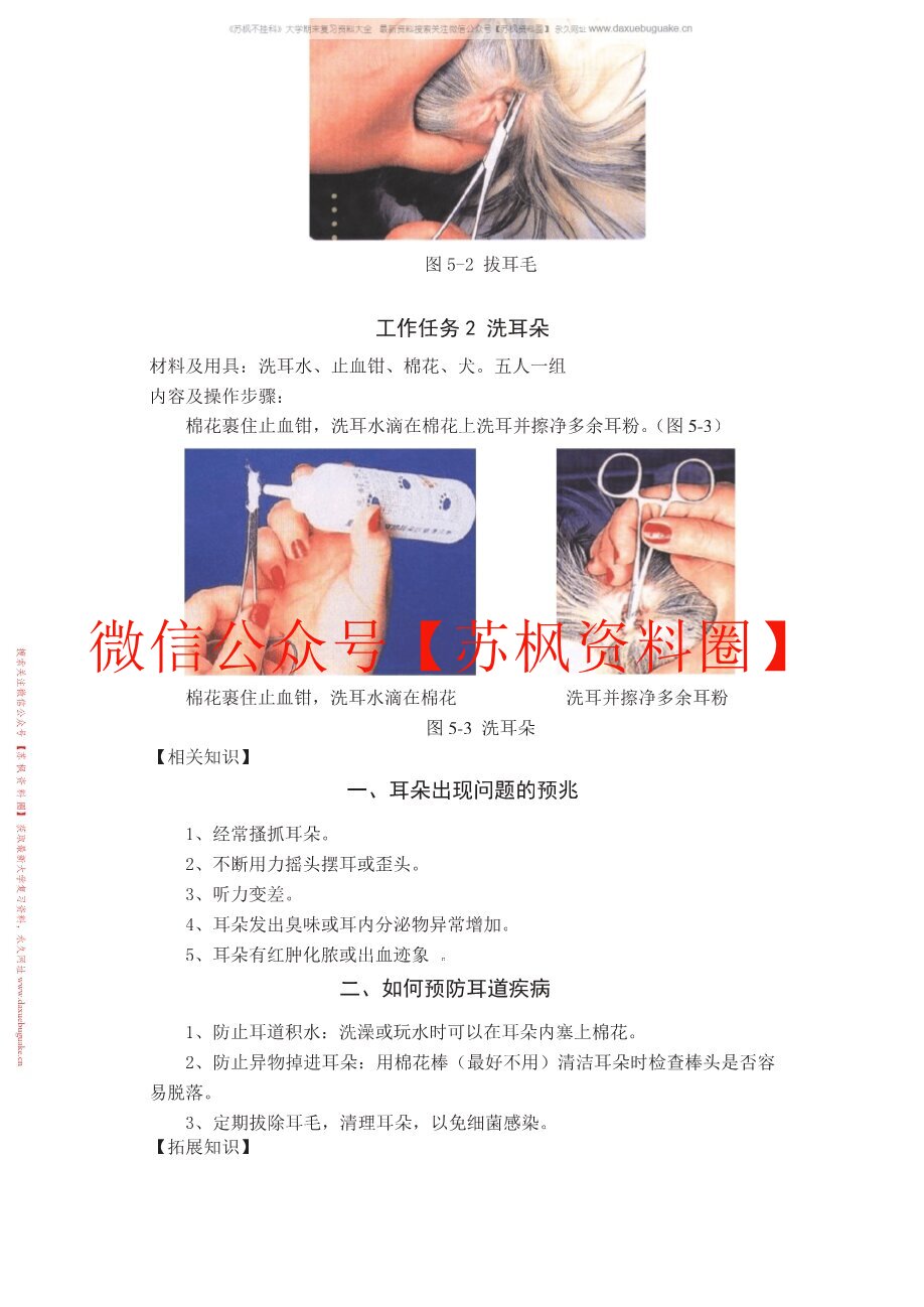 宠物美容